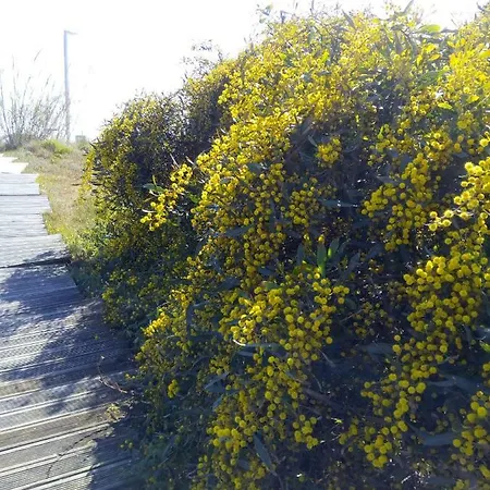 Pipo People House Όμπιδος