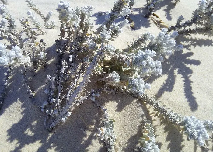 Pipo People House * Óbidos