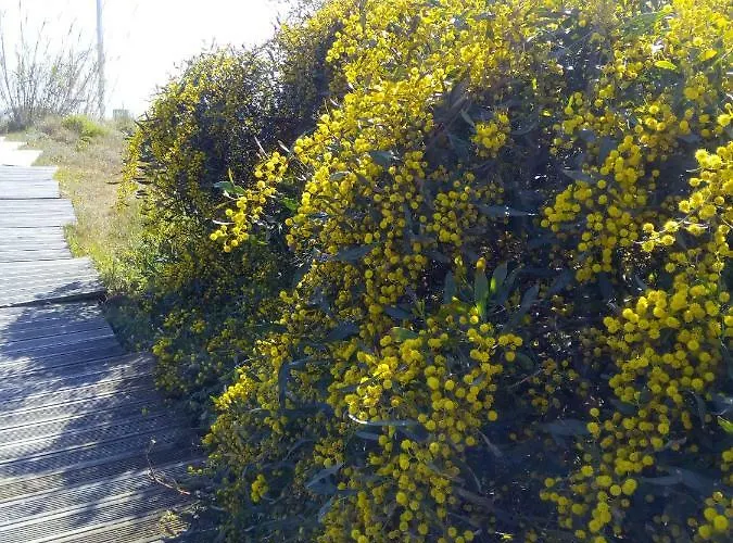 Pipo People House Óbidos